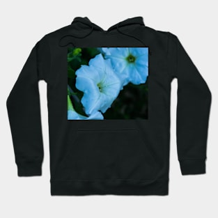 Flower with rain droplets. Hoodie